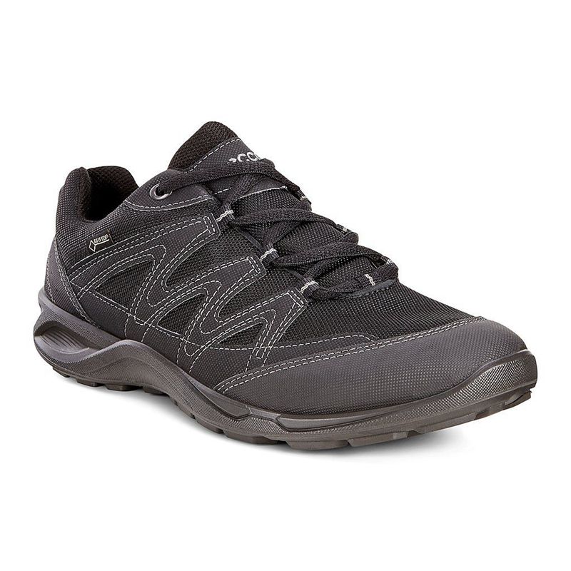 Women Ecco Terracruise Lt W - Gore-Tex Black - India IMHXKA867